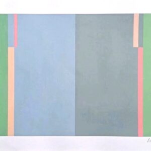 Série Linhas Formas e Cores, Lizeu