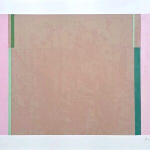 Série Linhas Formas e Cores, Lizeu