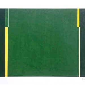 Série Linhas Formas e Cores, Lizeu