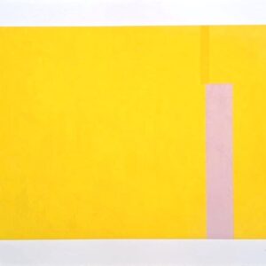 Série Linhas Formas e Cores, Lizeu