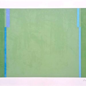 Série Linhas Formas e Cores, Lizeu