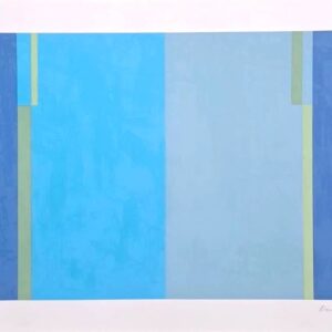 Série Linhas Formas e Cores, Lizeu