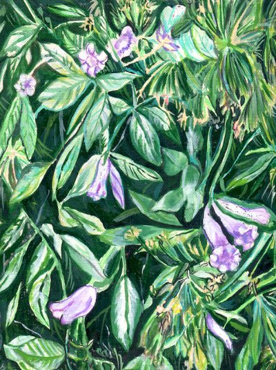 Jardim do SilÃªncio - CecÃ­lia Arguello